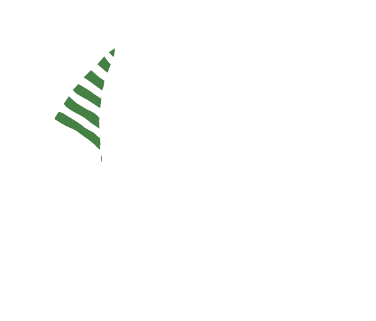 p-04-c-49