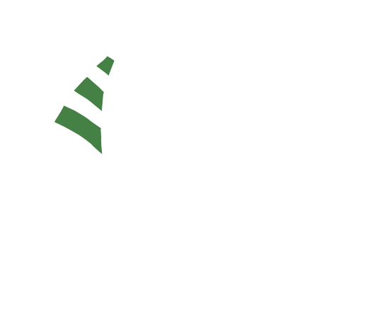 p-05-c-49