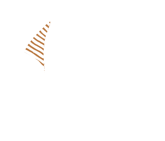 p-06-c-89