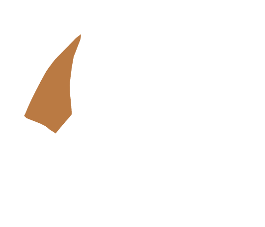 base-c-89