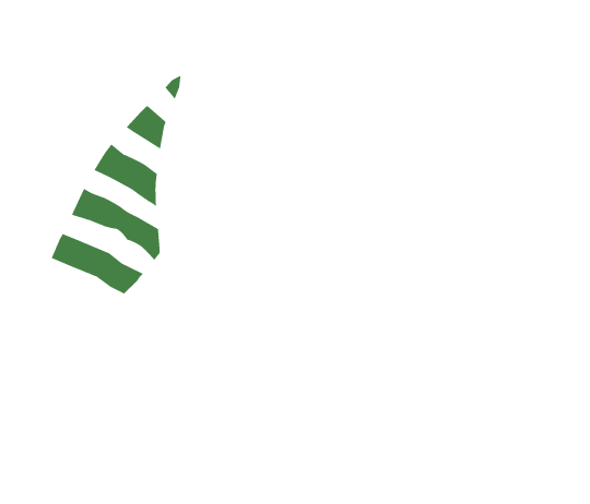p-05-c-49