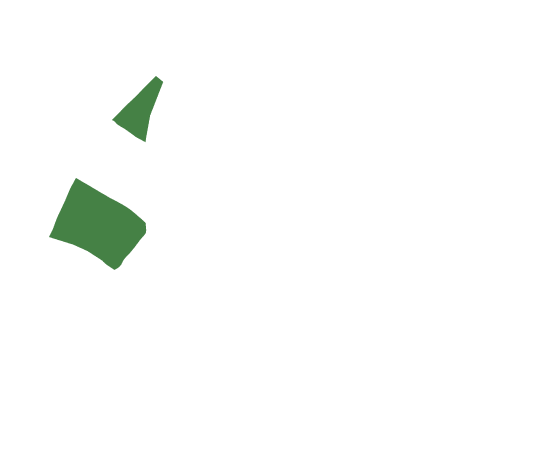 p-20-c-49