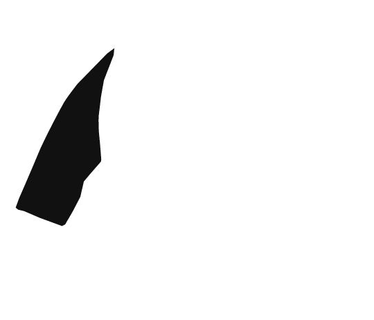 base-c-50