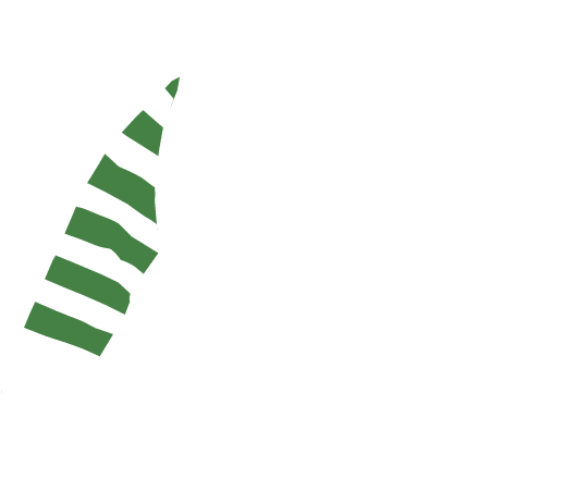 p-05-c-49