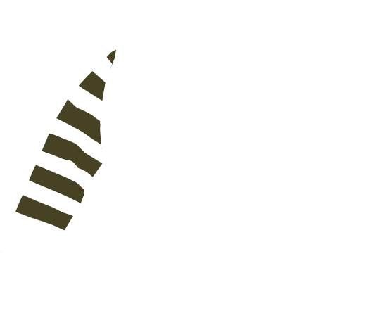 p-05-c-90