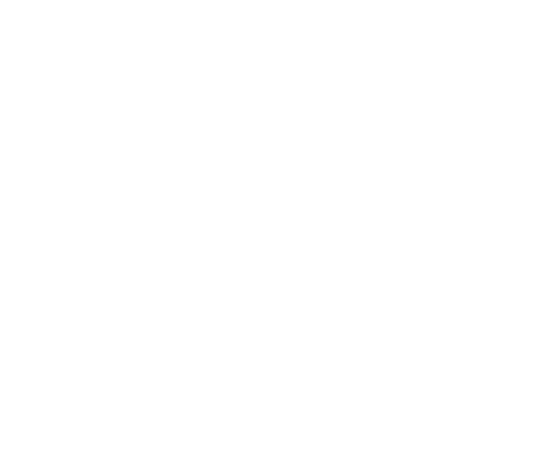p-20-c-41