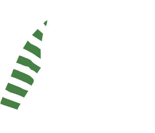 p-05-c-49