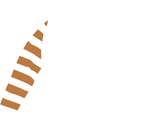 p-05-c-89