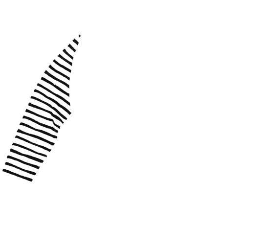 p-06-c-50