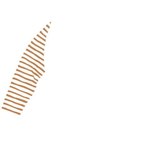 p-06-c-89
