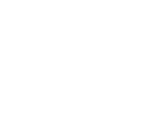 p-20-c-41