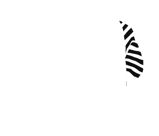 p-04-c-50