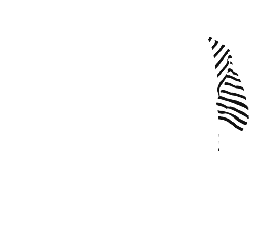 p-06-c-50