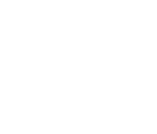 p-20-c-41