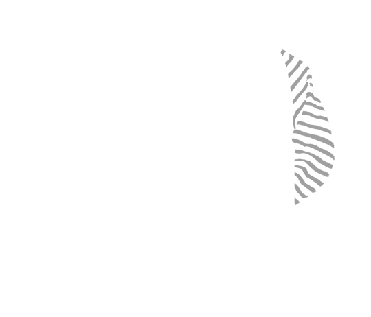 p-06-c-66