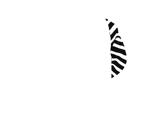 p-04-c-50