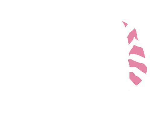 p-05-c-27