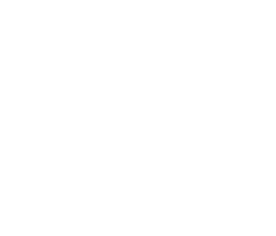 base-c-41