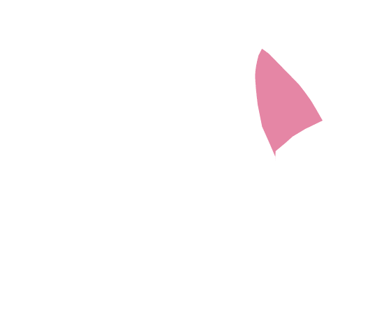 base-c-27