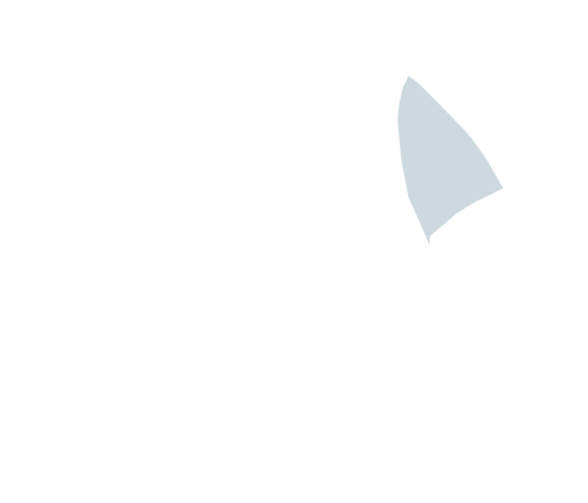 base-c-91