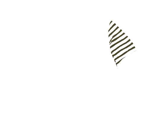 p-06-c-90