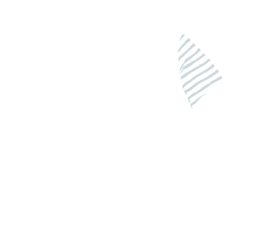 p-06-c-91