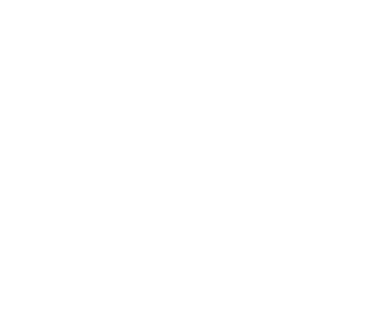 base-c-41