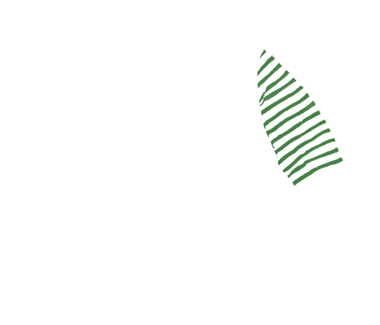 p-06-c-49