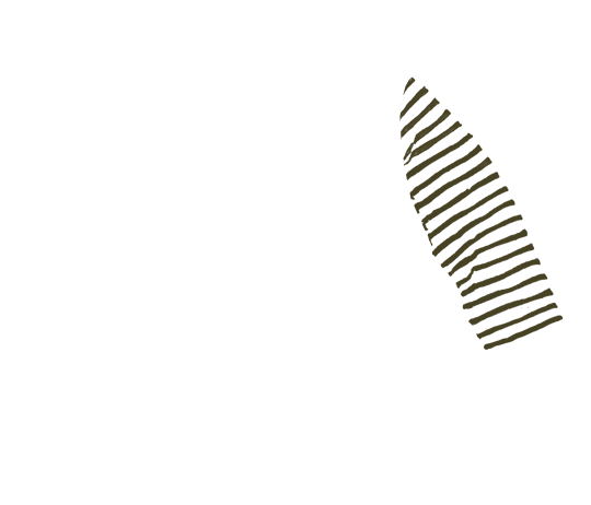p-06-c-90