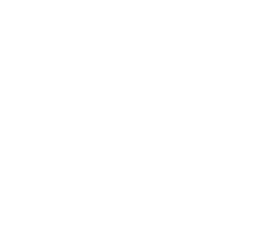 p-20-c-41