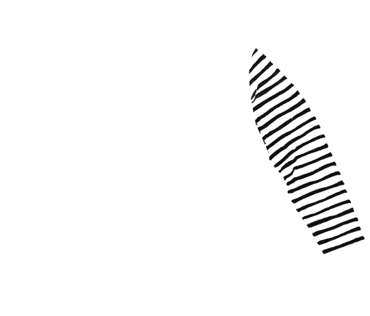 p-06-c-50