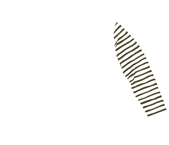 p-06-c-90