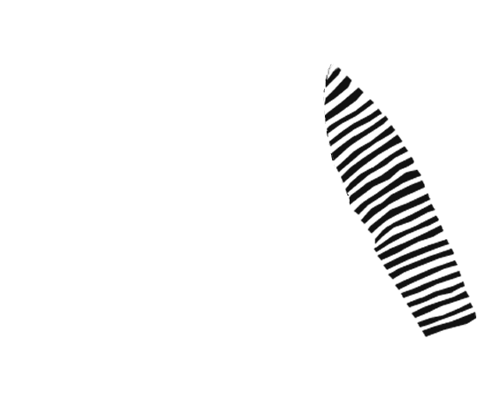p-10-c-50