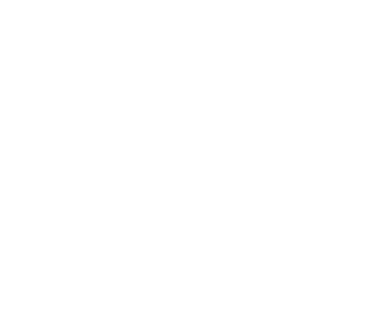 p-20-c-41