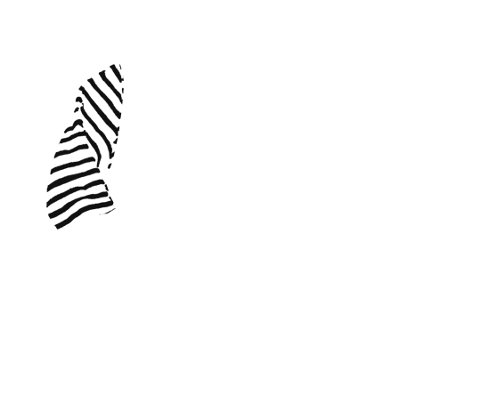 p-06-c-50