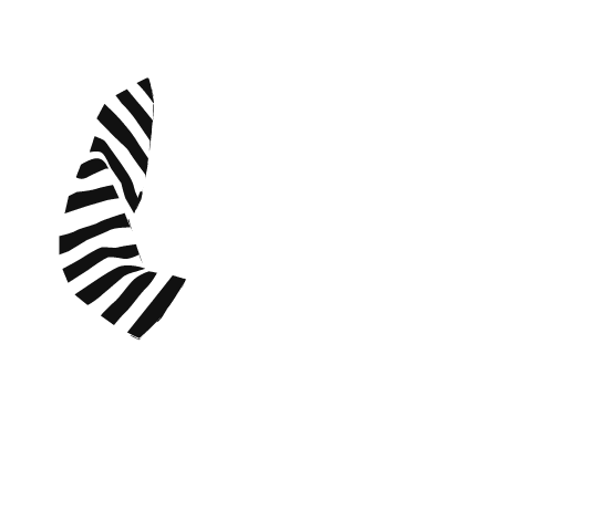 p-04-c-50
