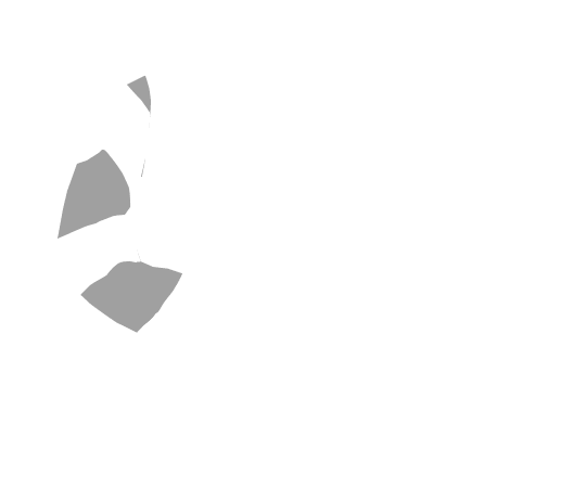 p-20-c-66